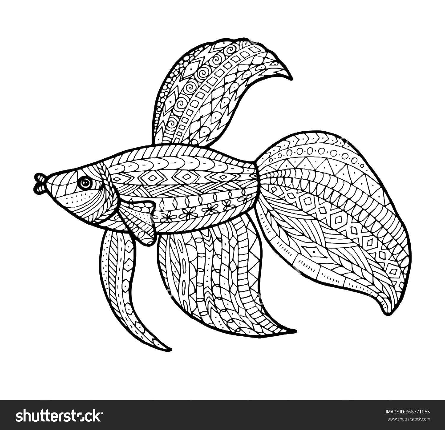 Название: Раскраска Узоры на рыбке. Категория: Рыбы. Теги: рыбы, антистресс, узоры.