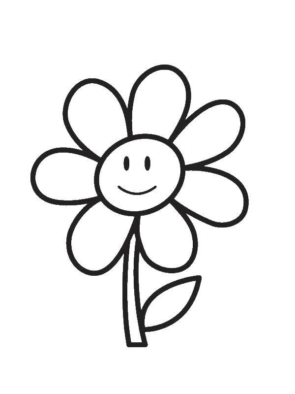 Coloring Fun Daisy. Category Coloring pages for kids. Tags:  Flowers.