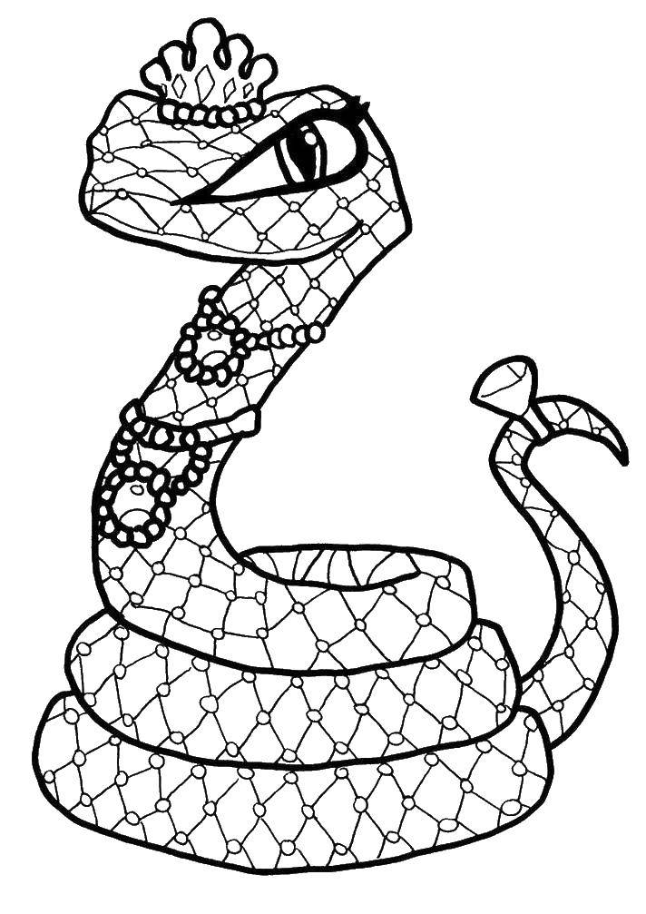 Раскраска змея Изображения – скачать бесплатно на Freepik