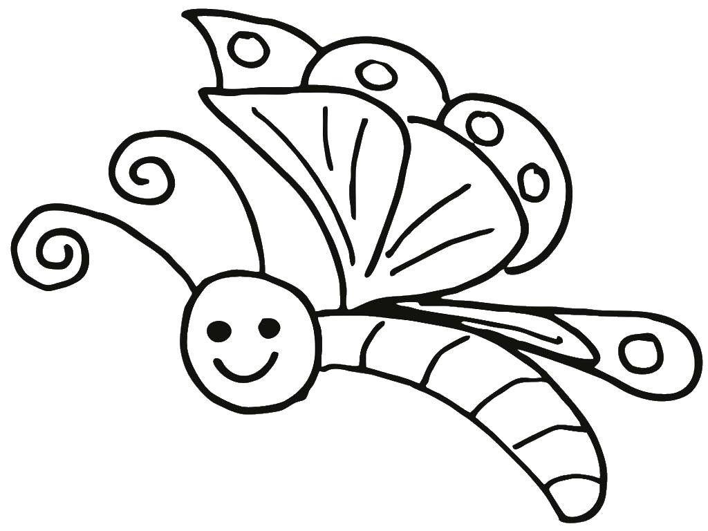 Название: Раскраска Бабочка. Категория: бабочки. Теги: бабочки, крылышки, насекомые.