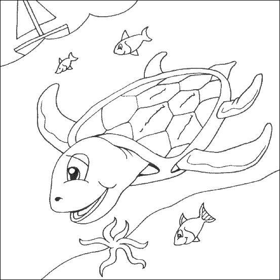 Название: Раскраска Черепашка в море. Категория: морская черепаха. Теги: животные, черепахи, морские черепахи.