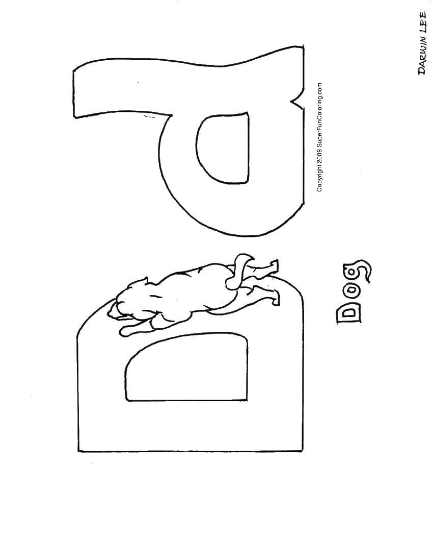 Coloring D,dog. Category English alphabet. Tags:  English alphabet , letter, d.