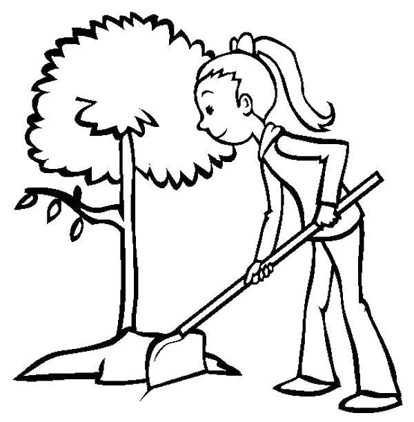 Название: Раскраска Девочка сажает дерево. Категория: растения. Теги: девочка, дерево.