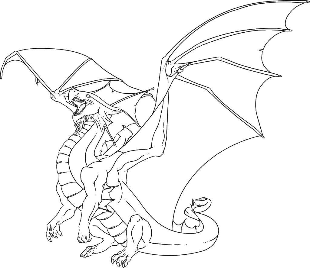 Coloring Dragon.. Category Dragons. Tags:  dragons, dragon, wings.