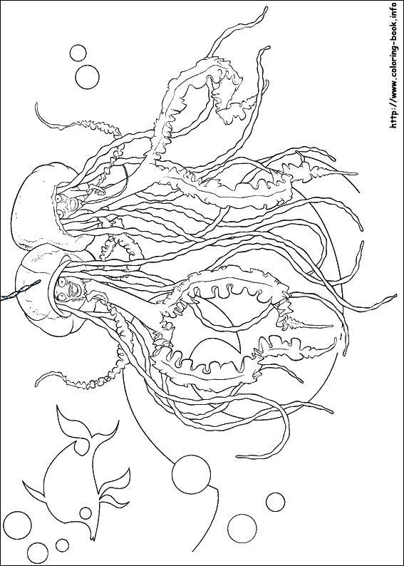 Название: Раскраска Две медузы. Категория: мультики. Теги: мультфильмы, рыбы, медузы.