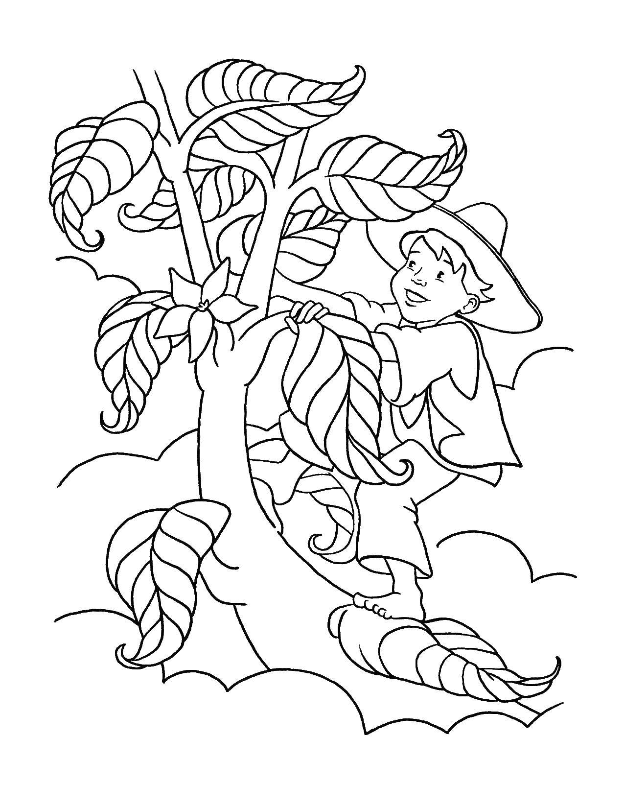 Название: Раскраска Джек и бобовое дерево. Категория: Сказки. Теги: сказка, джек, бобовое дерево.