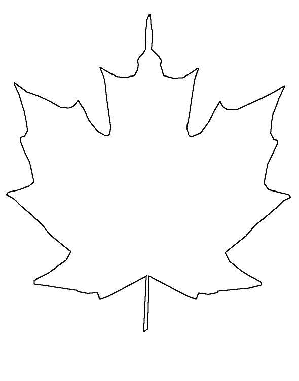 Coloring The outline of the leaf. Category The contours of the leaves. Tags:  to cut, leaves.