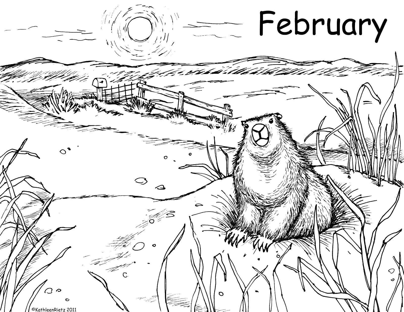Название: Раскраска Крот в феврале. Категория: Природа. Теги: крот.