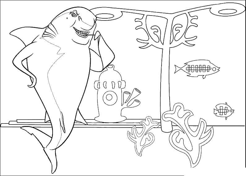 Coloring Cool shark. Category cartoons. Tags:  cartoon, fish, shark.