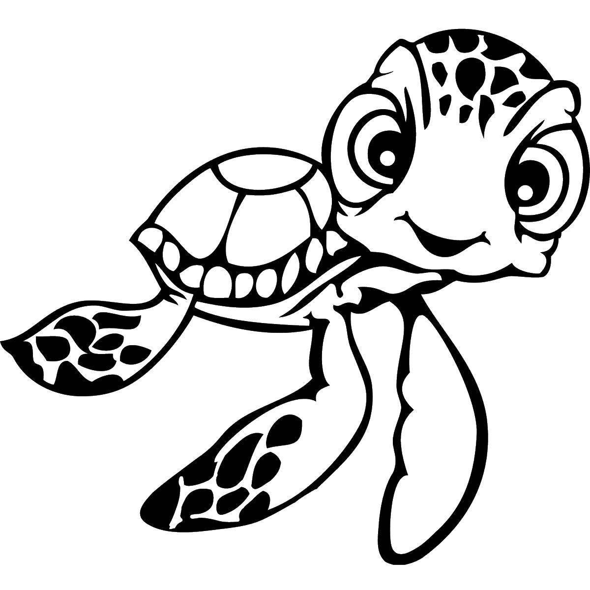 Название: Раскраска Милая черепашка. Категория: Животные. Теги: животные, черепахи, морские черепахи.