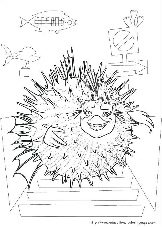 Coloring Sea urchin. Category marine. Tags:  marine, sea, fish, hedgehog.
