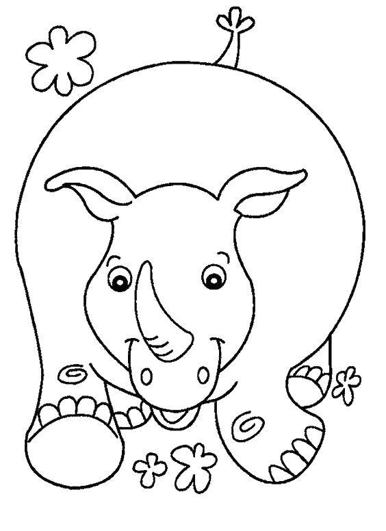 Название: Раскраска Носорог бежит. Категория: детеныши животных. Теги: Носорог, животные.