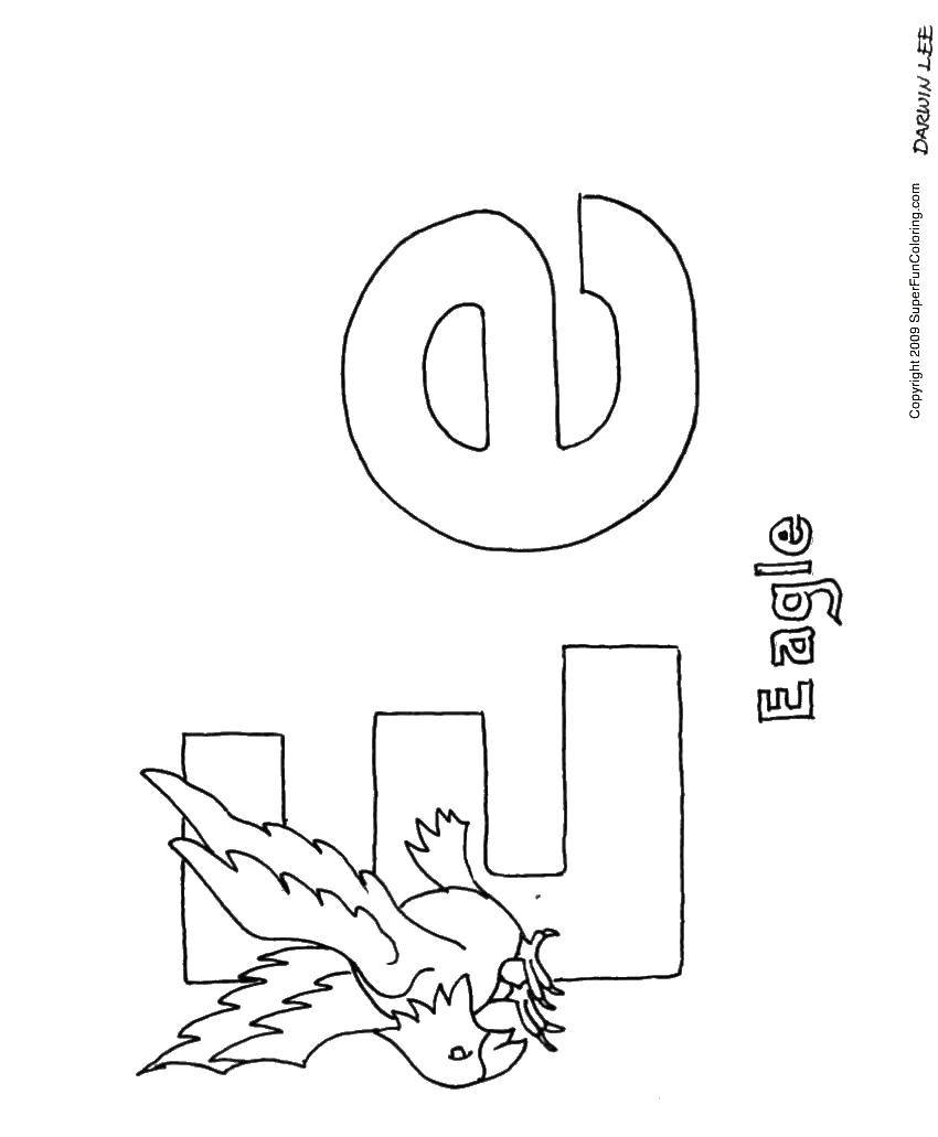 Coloring Eagle. Category English alphabet. Tags:  the English alphabet , letters, .