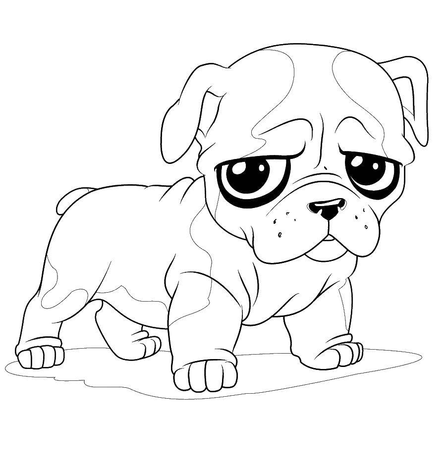 Coloring The dog is sad. Category animals cubs . Tags:  animals, dog, doggie.