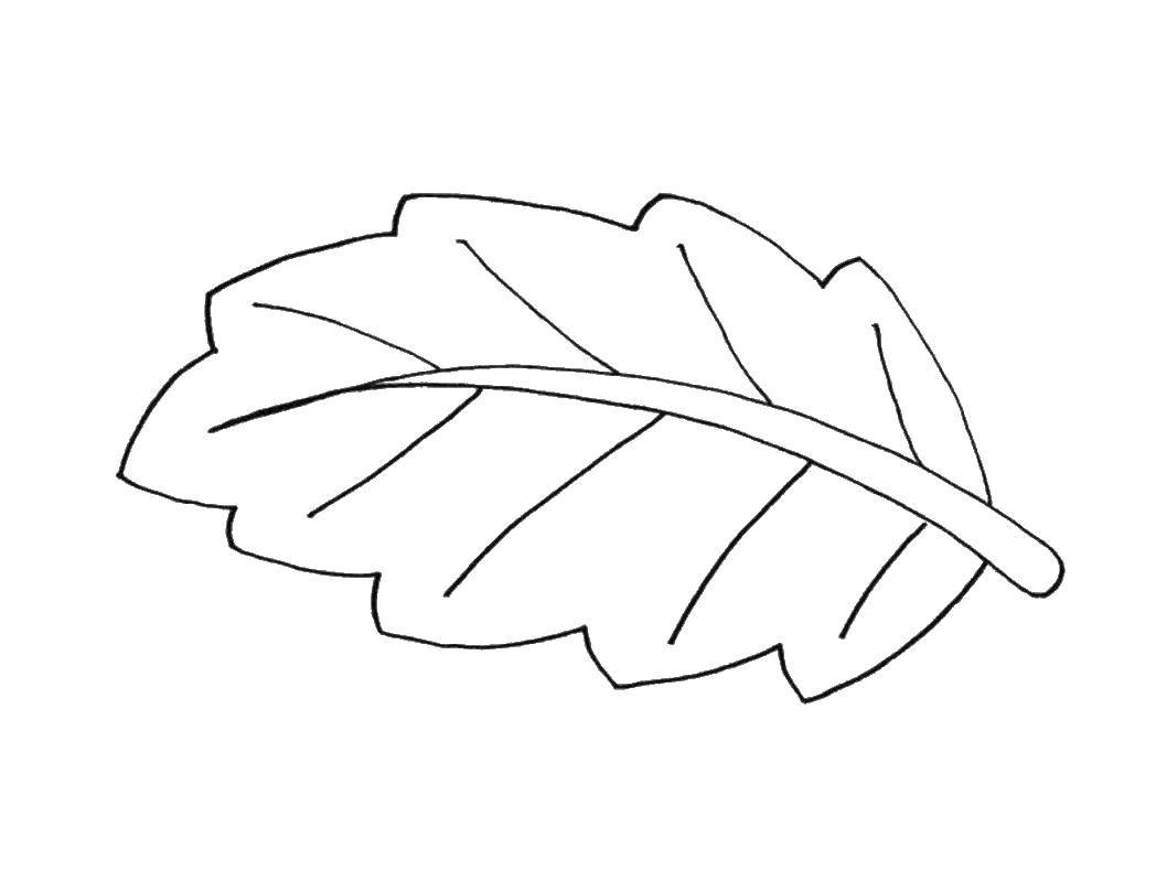 Название: Раскраска Простой листик. Категория: Контуры листьев. Теги: листья.