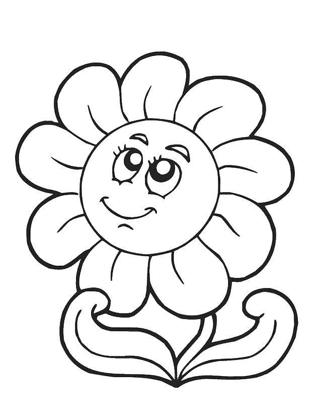 Coloring Daisy. Category Flowers. Tags:  chamomile flower.