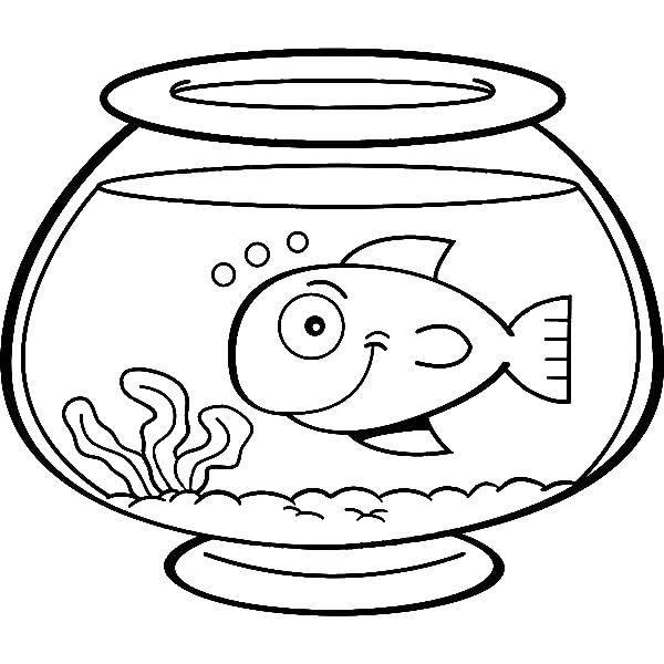 Название: Раскраска Рыбка в аквариуме. Категория: Рыбы. Теги: аквариум, рыбки.