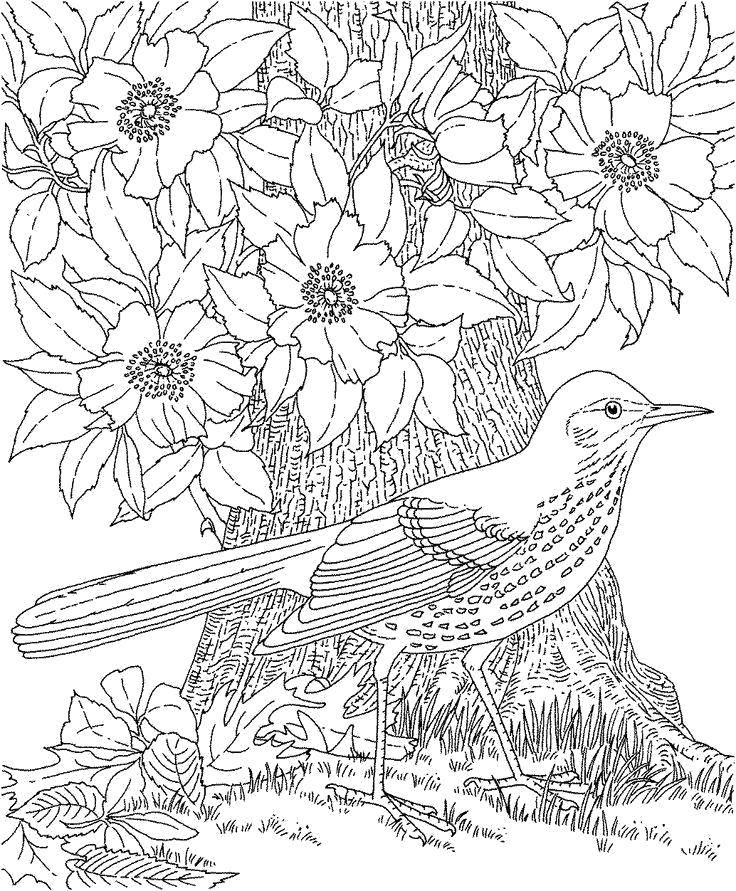 Название: Раскраска Сорока сидит около дерева с цветками. Категория: Природа. Теги: Природа, лес,  птицы, цветы.