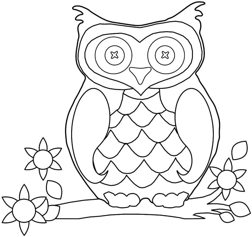 Coloring Owl. Category coloring. Tags:  owl, bird, eyes.