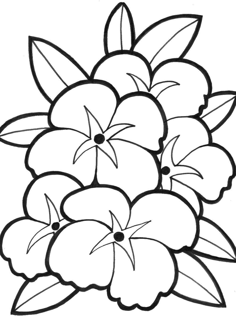 Coloring Flowers. Category Flowers. Tags:  flowers.