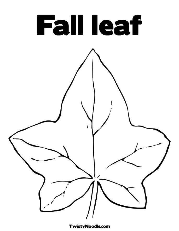 Coloring A fallen leaf. Category The contours of the leaves. Tags:  leaves, contours, trees.