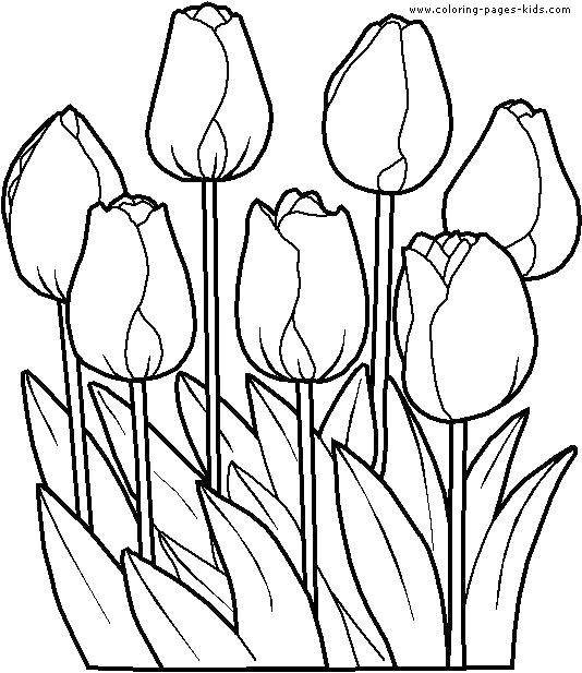 Название: Раскраска Закрытые тюльпаны. Категория: Цветы. Теги: Цветы, тюльпаны.