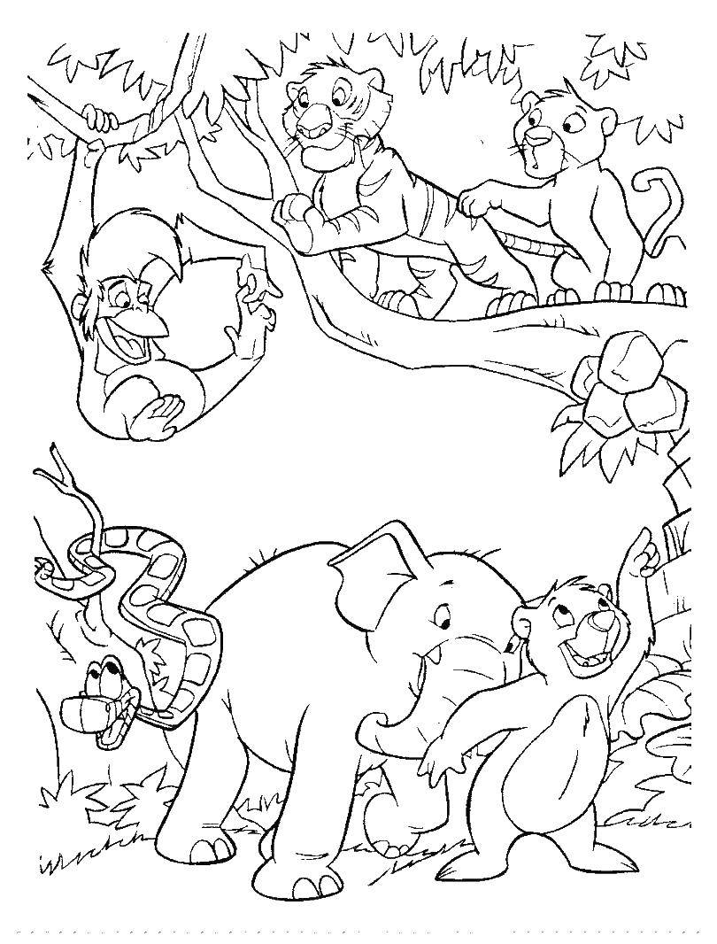Coloring Jungle animals. Category animals cubs . Tags:  the jungle.