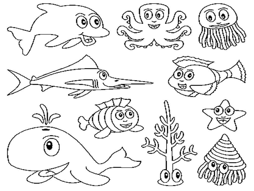 Розмальовки  Морські жителі дружно плавають разом. Завантажити розмальовку Підводний світ, риба акула, дельфін, риба-меч, восьминіг, корали, морська зірка, медуза.  Роздрукувати ,морське,