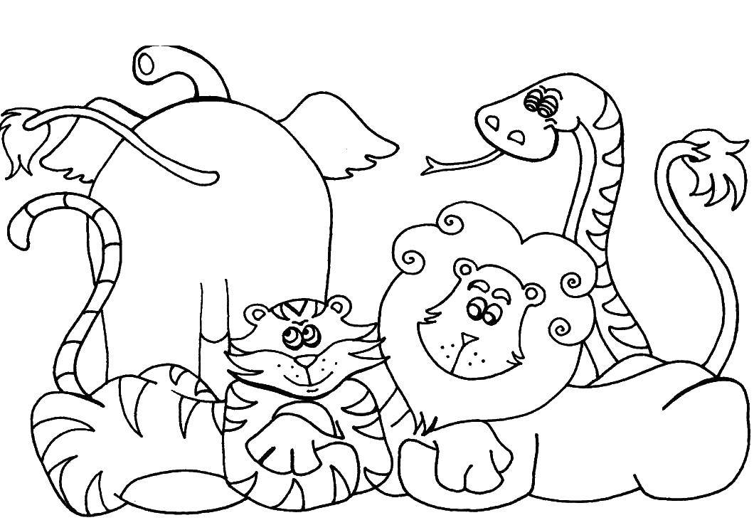 Розмальовки  Слон, тигр, лев і змійка відпочивають разом. Завантажити розмальовку Тварини, відпочинок, веселощі.  Роздрукувати ,тварини,