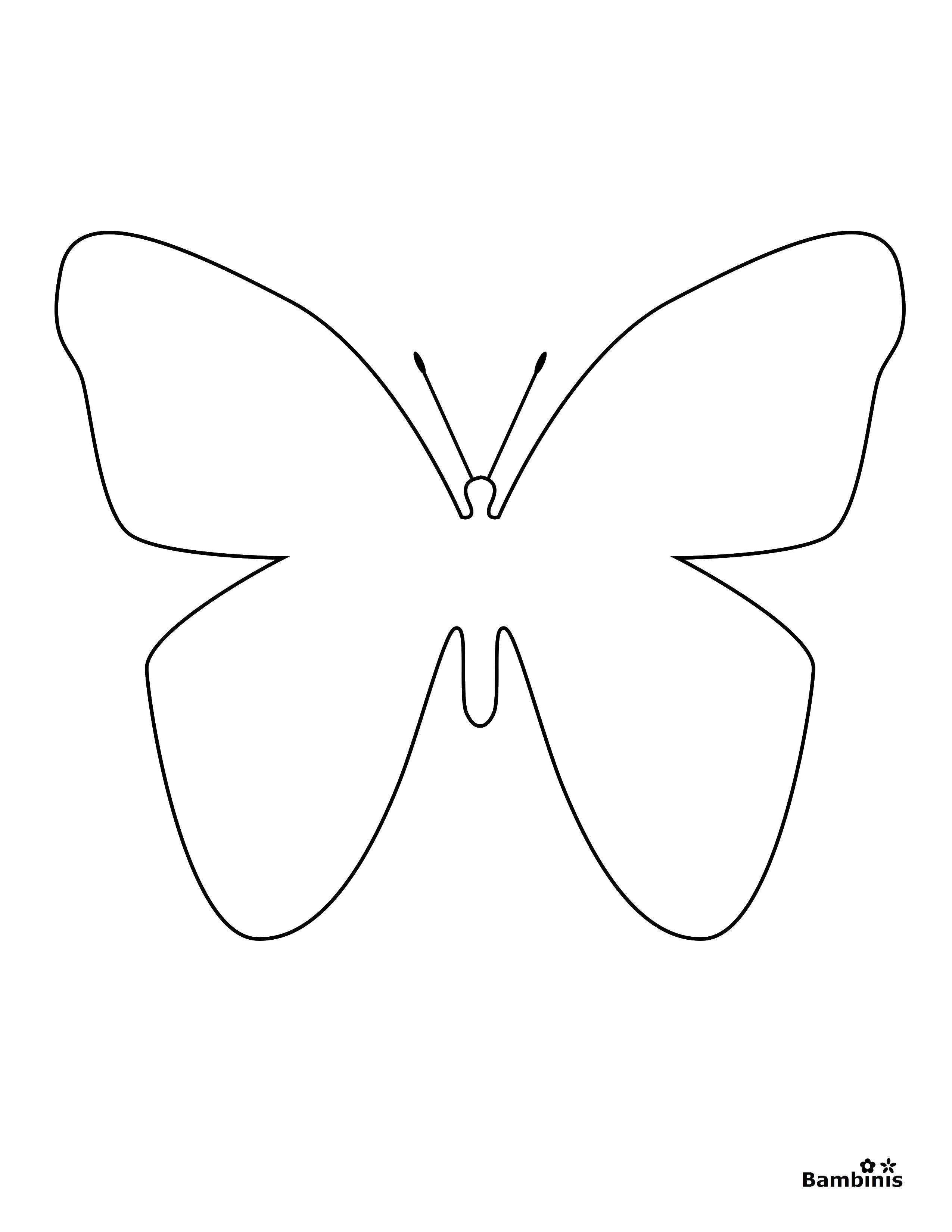 Название: Раскраска Бабочка и контур. Категория: Насекомые. Теги: контур, бабочка, крылья.