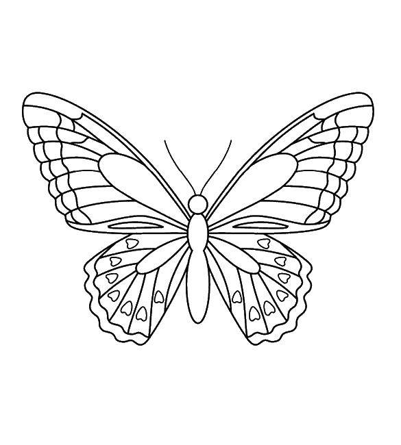 Название: Раскраска Бабочки с сердечками. Категория: контуры для вырезания бабочек. Теги: бабочка, крылья, усики.