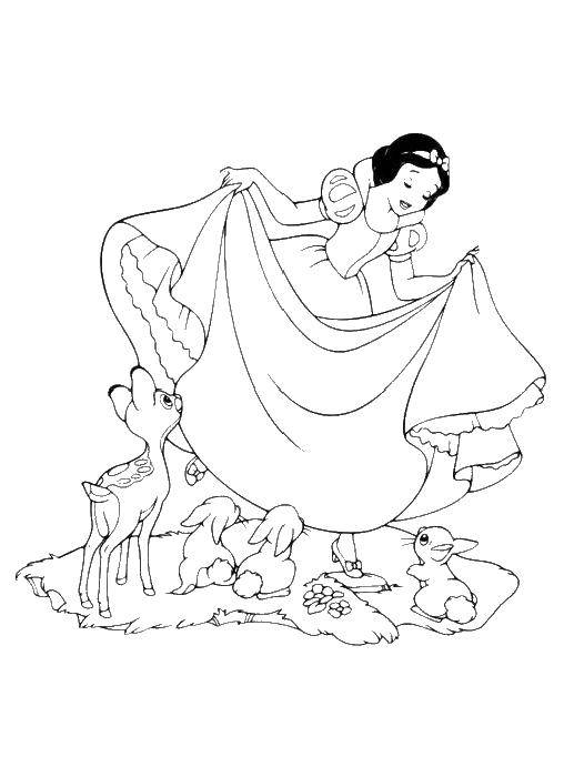 Coloring Snow white. Category snow white. Tags:  Snow white, princesses, cartoons, fairy tales, animals.