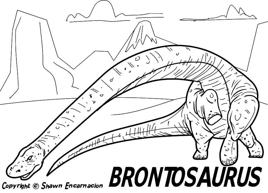Название: Раскраска Бронтозавр и длинная шея. Категория: парк юрского периода. Теги: бронтозавр, динозавр, хвост.