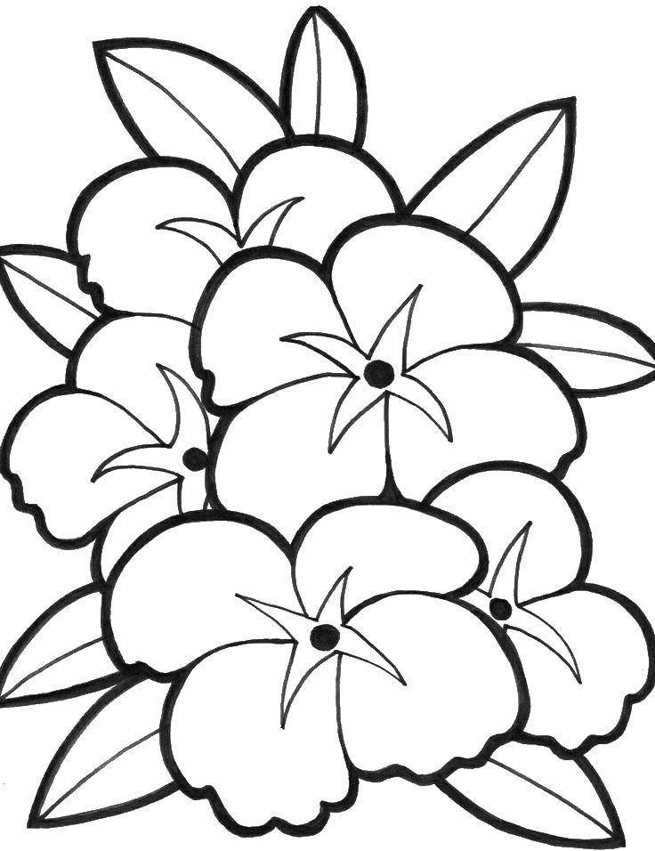 Coloring A bouquet of flowers. Category flowers. Tags:  the flowers , leaves, bouquet.
