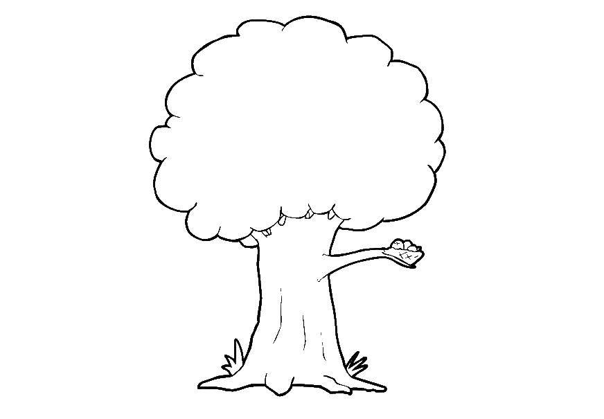 Название: Раскраска Дереве с кроной. Категория: дерево. Теги: дерево, ствол, крона.