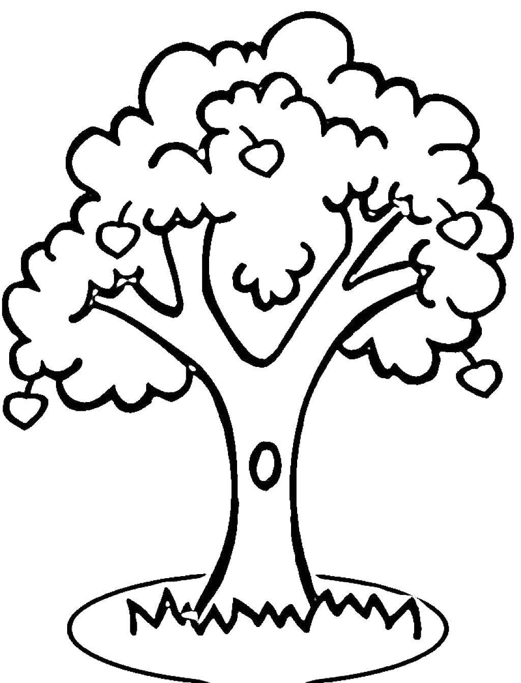 Название: Раскраска Дерево с дуплом. Категория: Контур дерева. Теги: дерево.