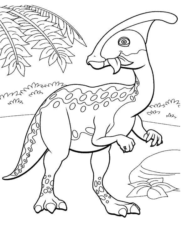Название: Раскраска Динозаврик. Категория: парк юрского периода. Теги: парк юрского периода, динозавры, мультфильмы.