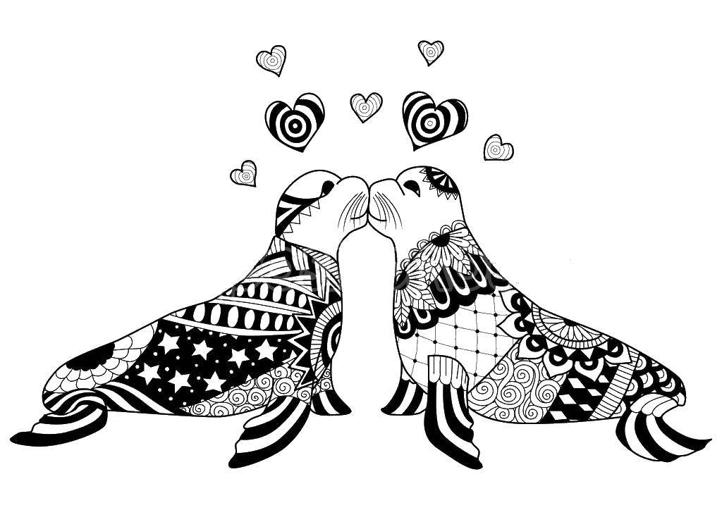 Coloring Two seals and hearts. Category kissing. Tags:  seals, hearts, patterns.
