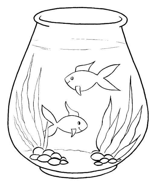 Название: Раскраска Две рыбы в аквариуме. Категория: золотая рыбка. Теги: аквариум, рыбы, водоросли.