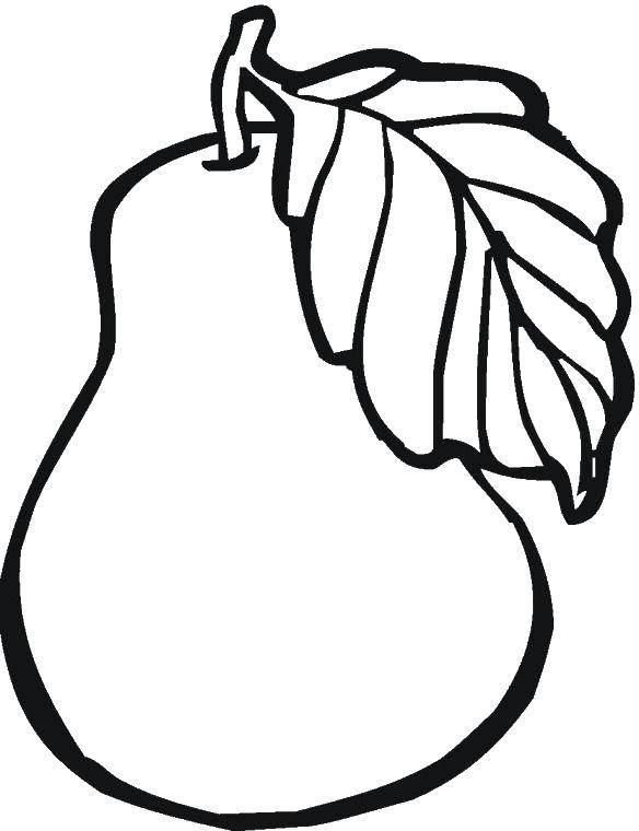 Coloring Pear. Category fruits. Tags:  fruit, pear, pears.