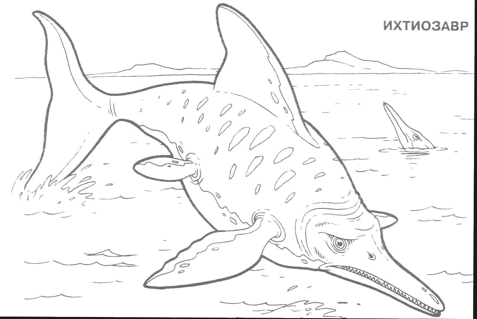 Coloring Ichthyosaur. Category Jurassic Park. Tags:  the ichthyosaur, dinosaur.