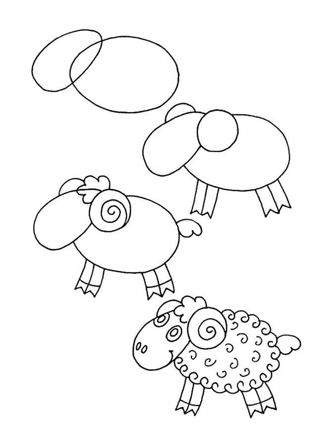 Название: Раскраска Как нарисовать барашка. Категория: как нарисовать поэтапно животных. Теги: животные, барашки, овечки.