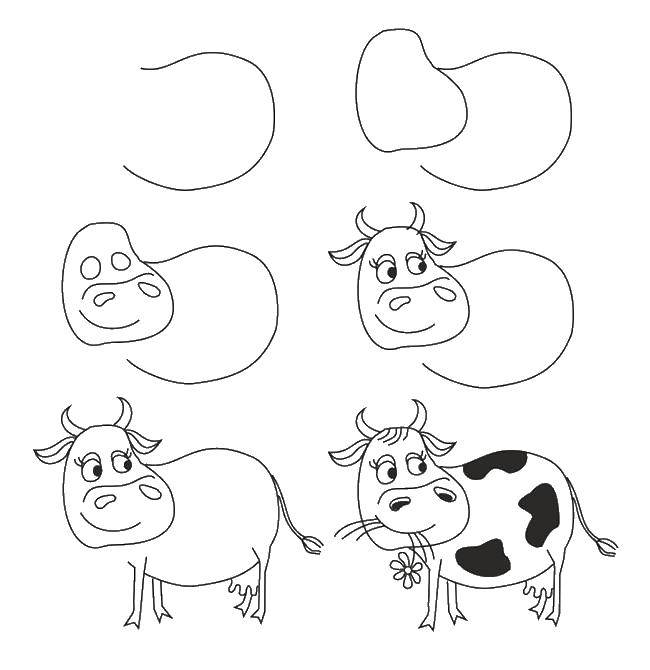 Название: Раскраска Как нарисовать корову. Категория: как нарисовать поэтапно животных. Теги: коровы, животные.