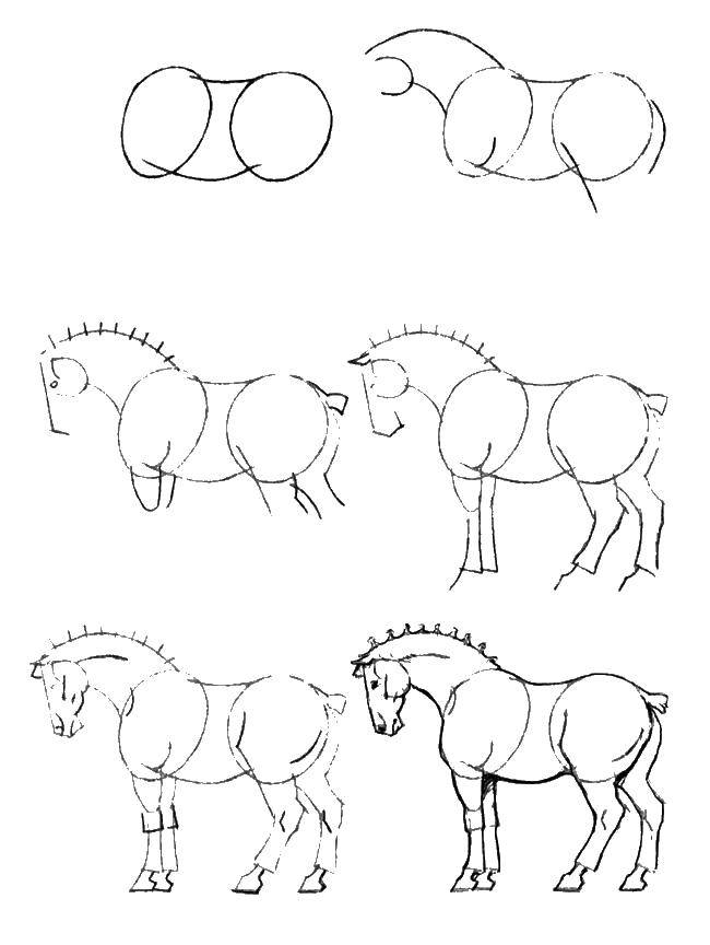 Название: Раскраска Как нарисовать лошадь. Категория: как нарисовать поэтапно животных. Теги: как нарисовать, животные, лошади.