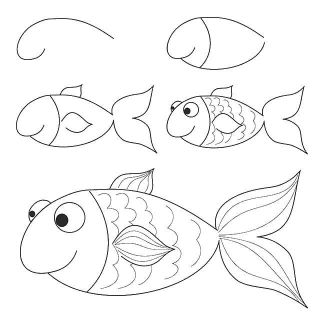 Название: Раскраска Как нарисовать рыбку. Категория: как нарисовать поэтапно животных. Теги: рыбки, рыба.