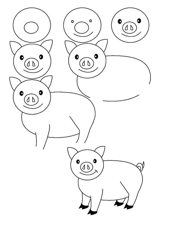 Название: Раскраска Как нарисовать свинку. Категория: как нарисовать поэтапно животных. Теги: как нарисовать, животные, свинка.