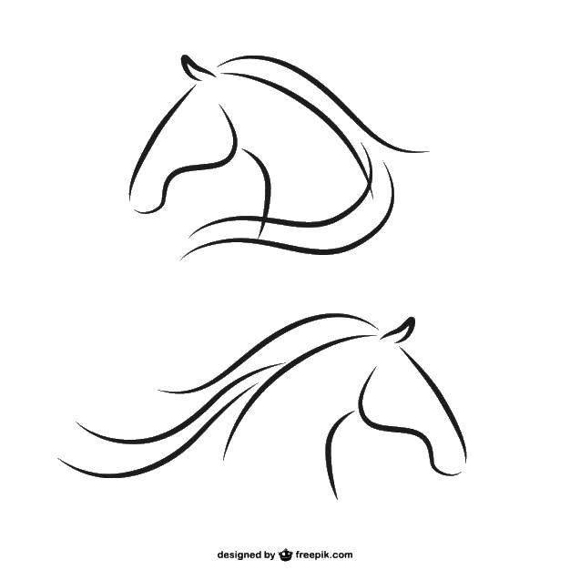 Coloring The outline of the horse head. Category the contours of the horse. Tags:  contour, horse, head.