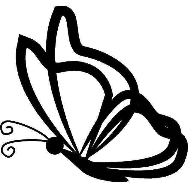 Coloring Contour flying butterfly. Category the contours for cutting out butterflies. Tags:  the contours, butterflies.
