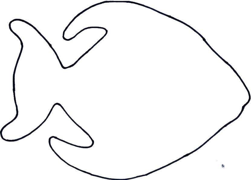 Coloring The contour of the fish. Category Contours of fish. Tags:  fish, contours, fish.
