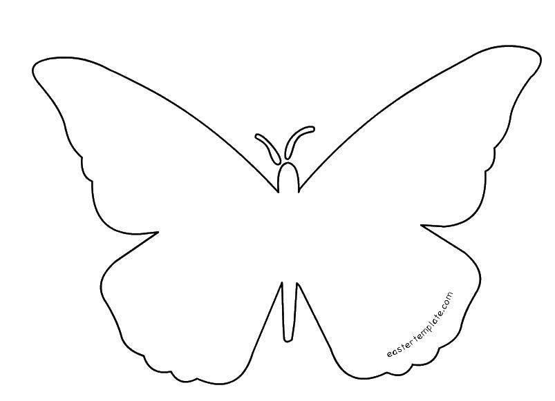 Название: Раскраска Контуры бабочки. Категория: контуры для вырезания бабочек. Теги: контуры, шаблоны, бабочки, бабочка.